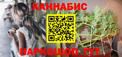 шишки Будённовск