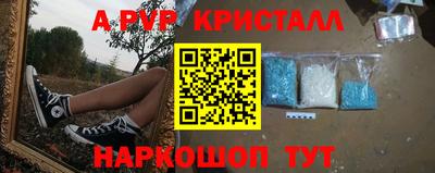 шишки Будённовск