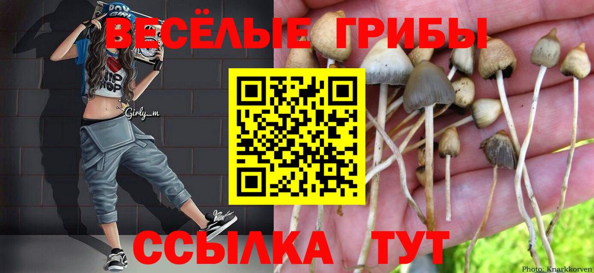 Псилоцибиновые грибы GOLDEN TEACHER Заинск